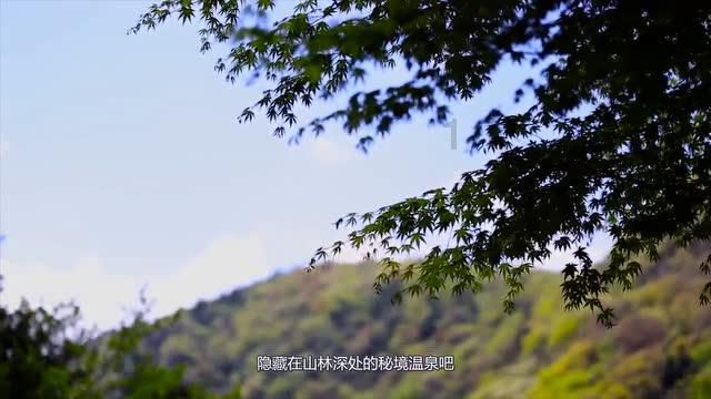 全民剧本大师内置菜单